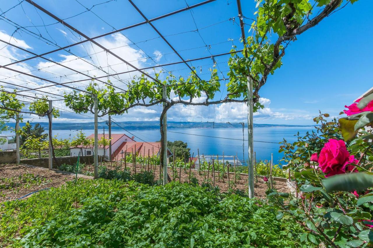 Apartments Jasna Omiš Εξωτερικό φωτογραφία